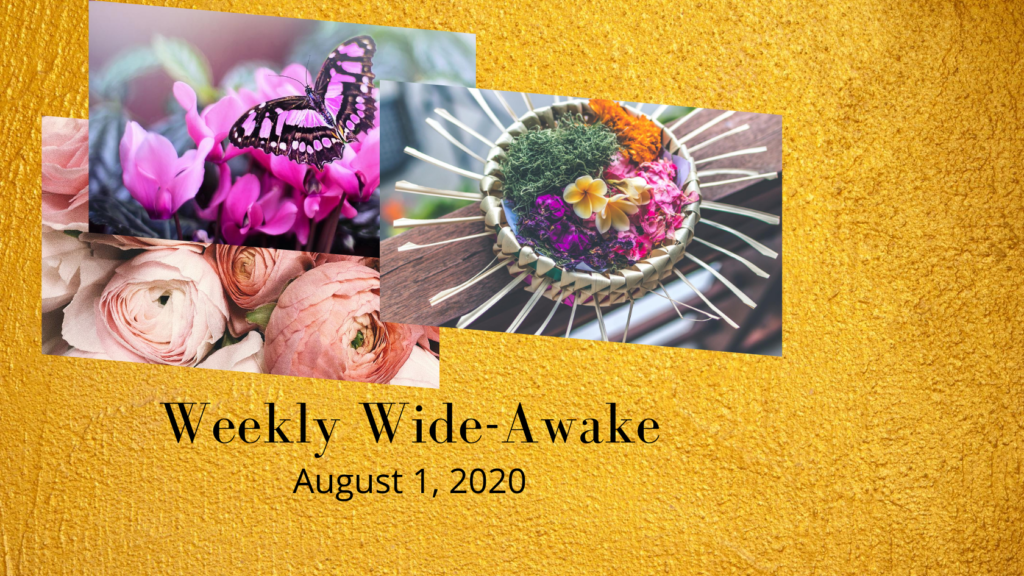 Weekly Wide-Awake August 1, 2020 - Katie Steedly